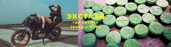 индика Каменка