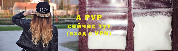 прущие грибы Белоозёрский