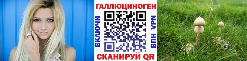 Галлюциногенные грибы Psilocybine cubensis Нолинск