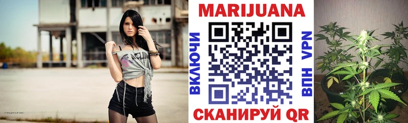 даркнет сайт  Нолинск  Каннабис гибрид 